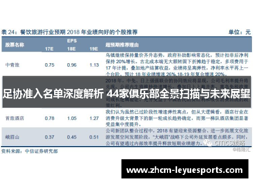 足协准入名单深度解析 44家俱乐部全景扫描与未来展望