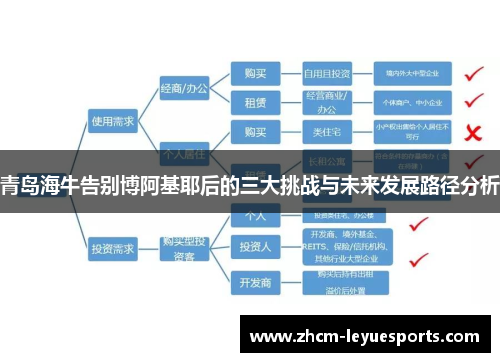 青岛海牛告别博阿基耶后的三大挑战与未来发展路径分析 青岛海牛告别博阿基耶后的三大挑战与未来发展路径分析